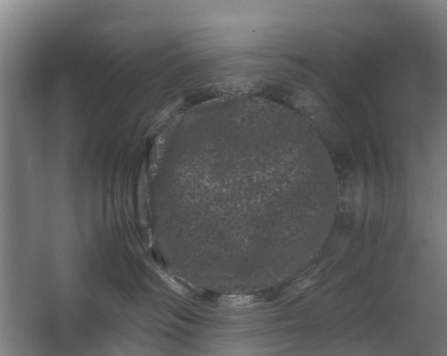 X0000062630334200601041037