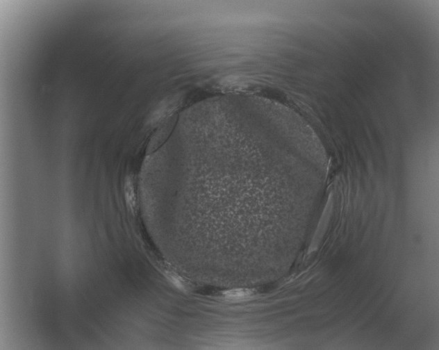 X0000062630335200601041037