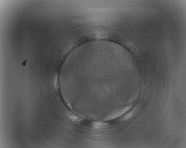 X0000062630336200601041037