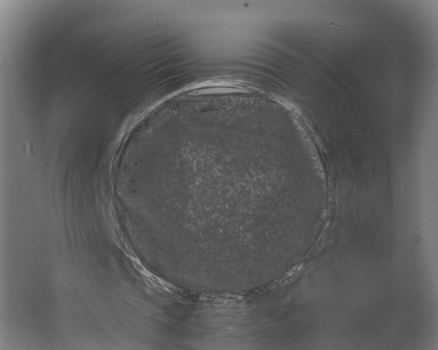 X0000062630337200601041037