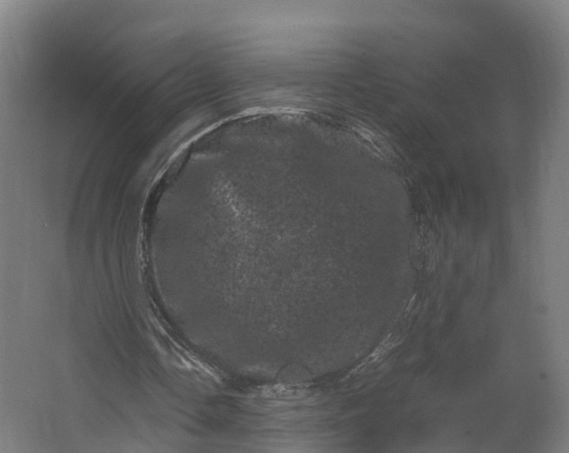 X0000062630338200601041037