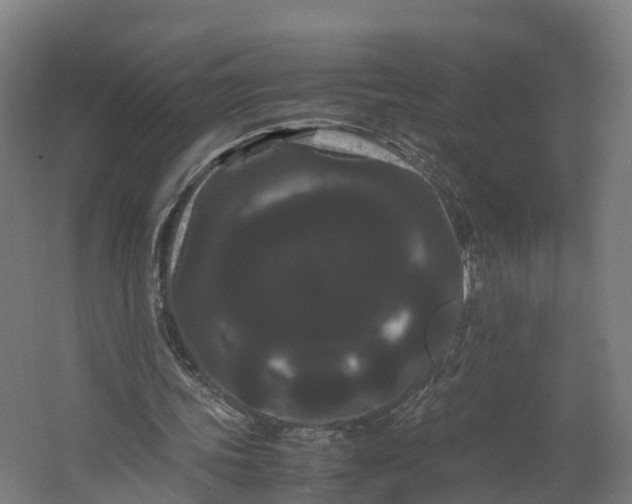 X0000062630339200601041037