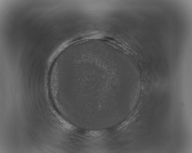 X0000062630341200601041037