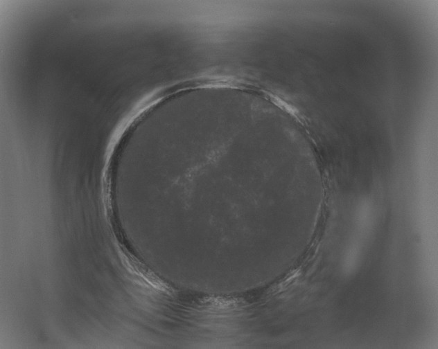 X0000062630343200601041037