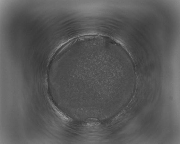 X0000062630345200601041037