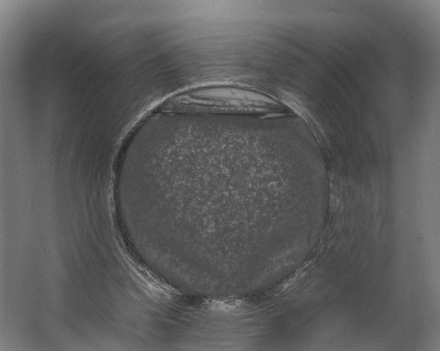 X0000062630346200601041037