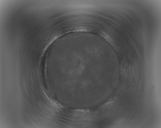 X0000062630347200601041037