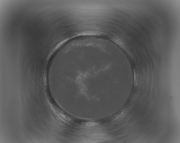 X0000062630348200601041037