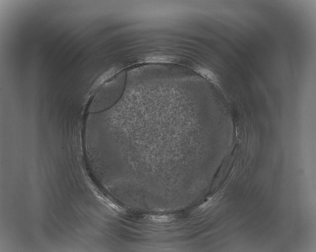 X0000062630349200601041037