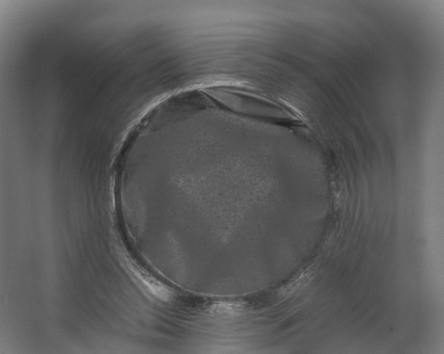 X0000062630350200601041037