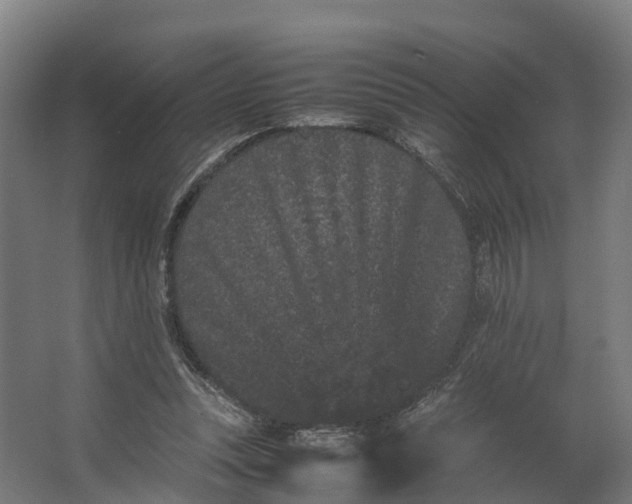 X0000062630351200601041037