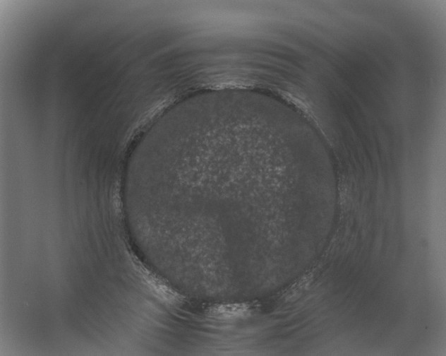 X0000062630353200601041037