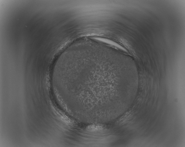 X0000062630354200601041037