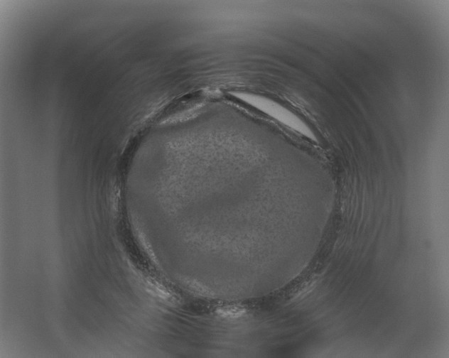 X0000062630355200601041037