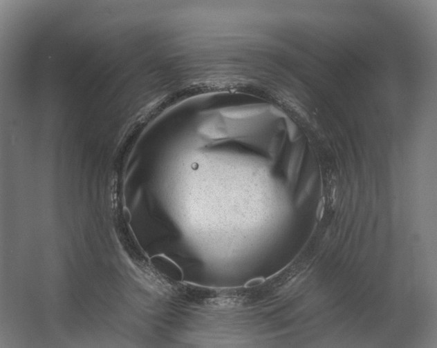 X0000062630356200601041037