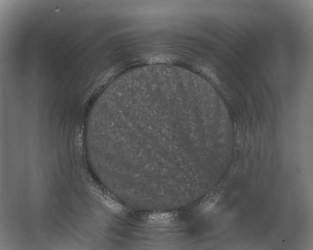 X0000062630357200601041037