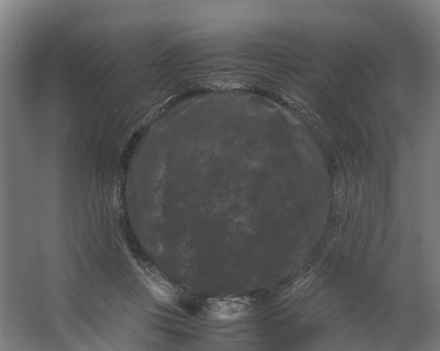 X0000062630359200601041037