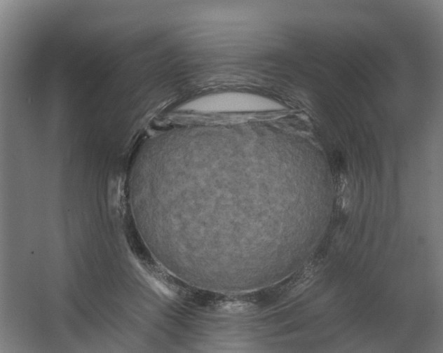 X0000062630360200601041037