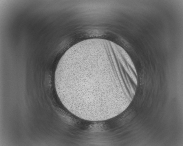 X0000062630362200601041037