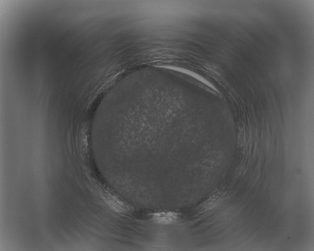 X0000062630363200601041037