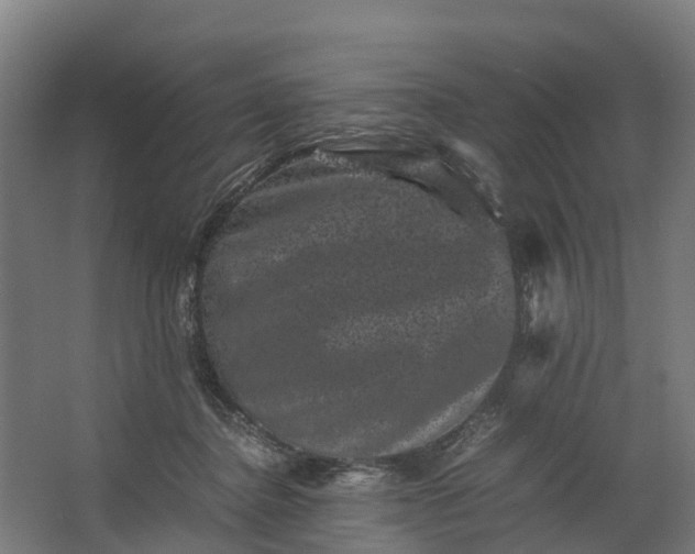 X0000062630364200601041037