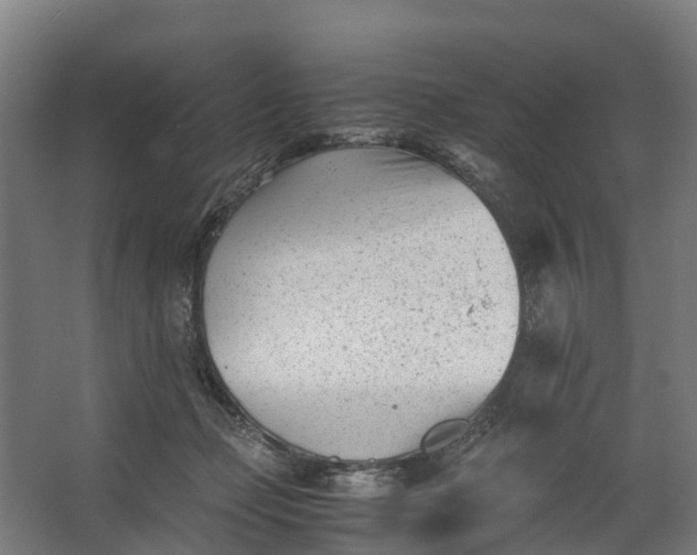 X0000062630365200601041037