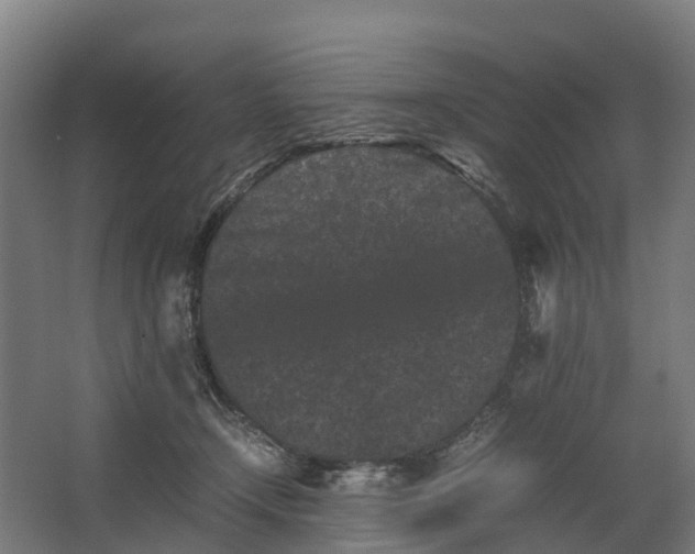 X0000062630366200601041037