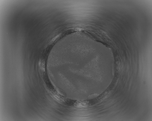 X0000062630368200601041037