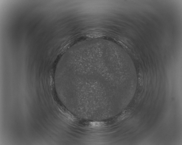 X0000062630371200601041037