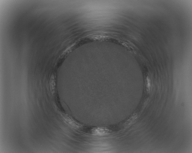 X0000062630372200601041037