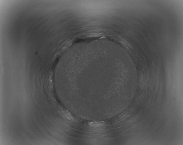 X0000062630373200601041037