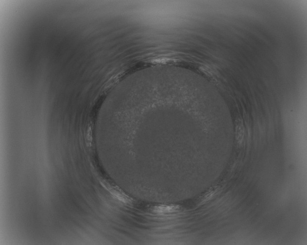 X0000062630375200601041037