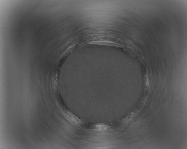 X0000062630376200601041037