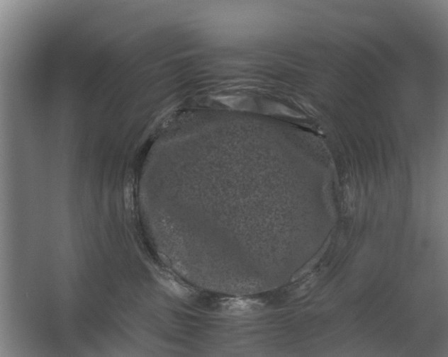 X0000062630379200601041037