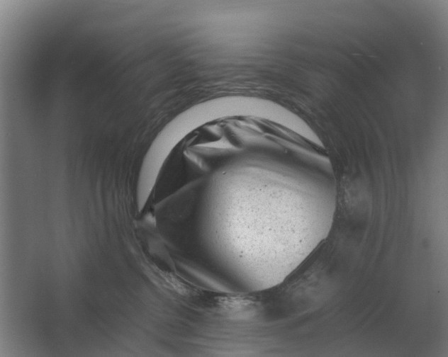 X0000062630380200601041037