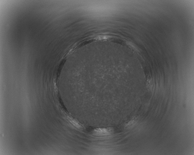 X0000062630381200601041037