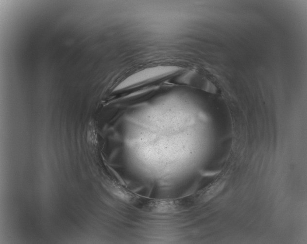 X0000062630384200601041037