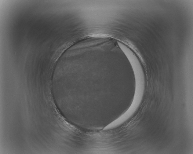 X0000062630385200601041037