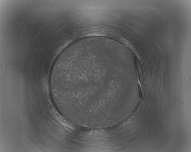 X0000062630386200601041037