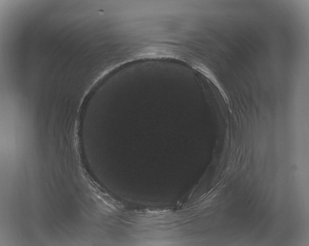 X0000062630387200601041037