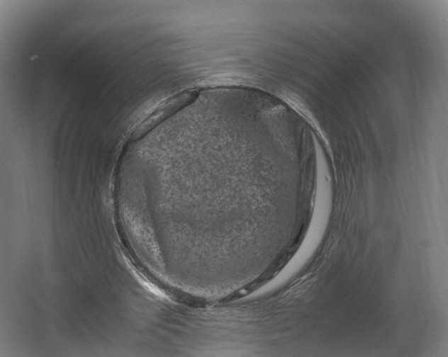 X0000062630389200601041037