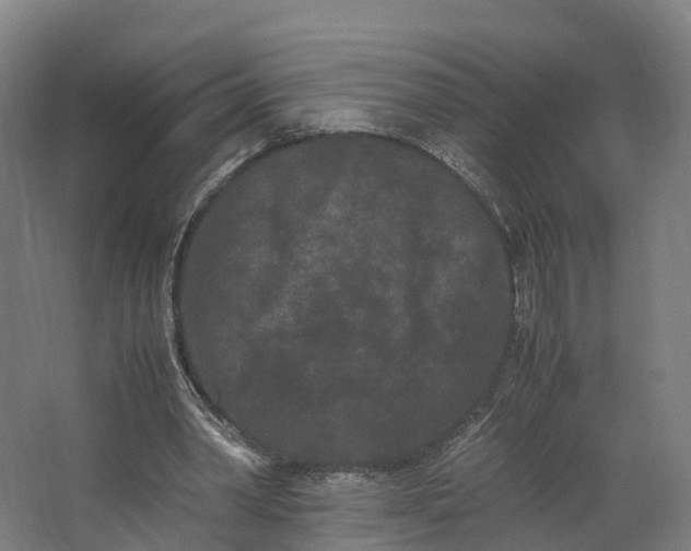 X0000062630390200601041037