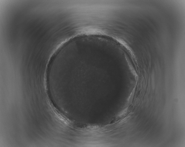 X0000062630391200601041037