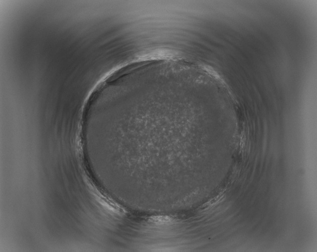 X0000062630392200601041037