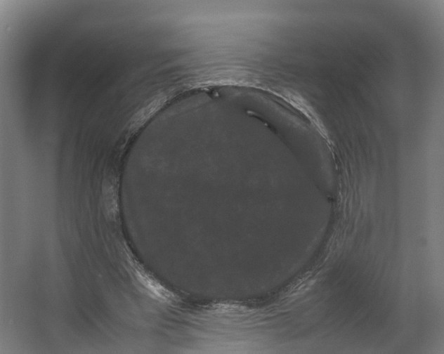 X0000062630393200601041037