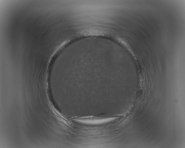 X0000062630395200601041036