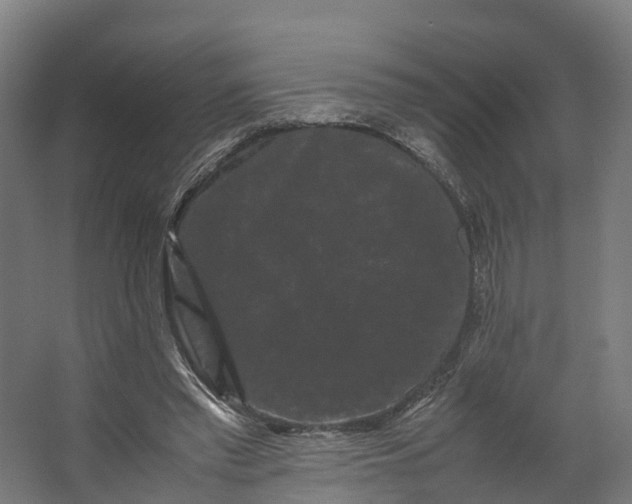 X0000062630397200601041036