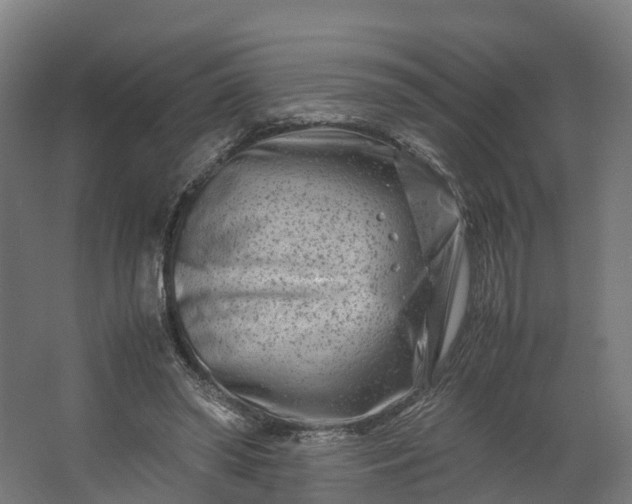 X0000062630398200601041036