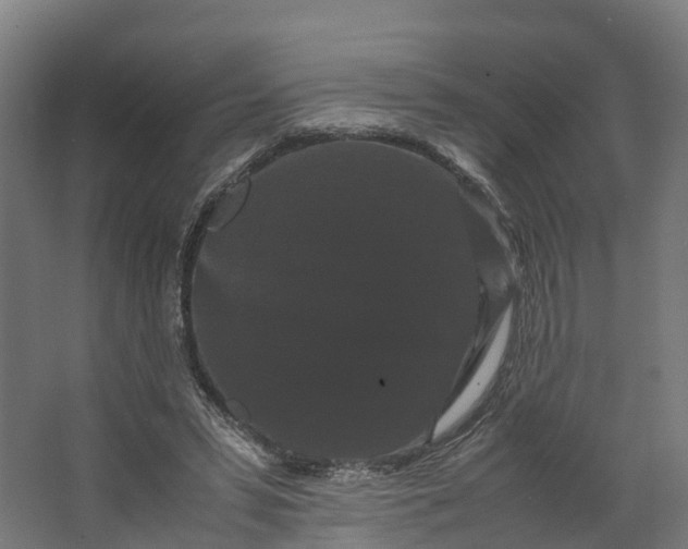 X0000062630399200601041036