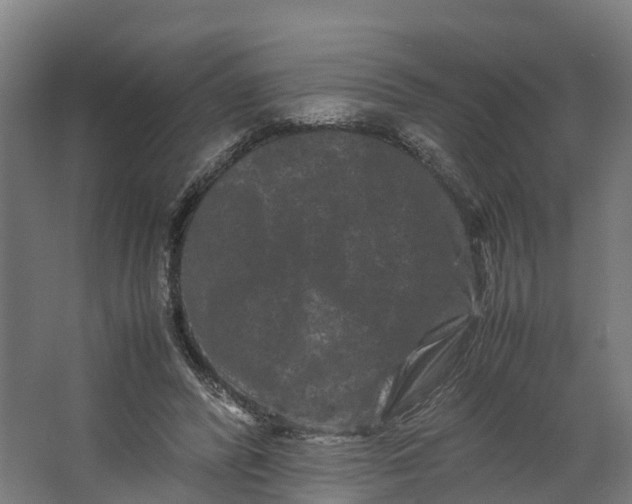 X0000062630400200601041036